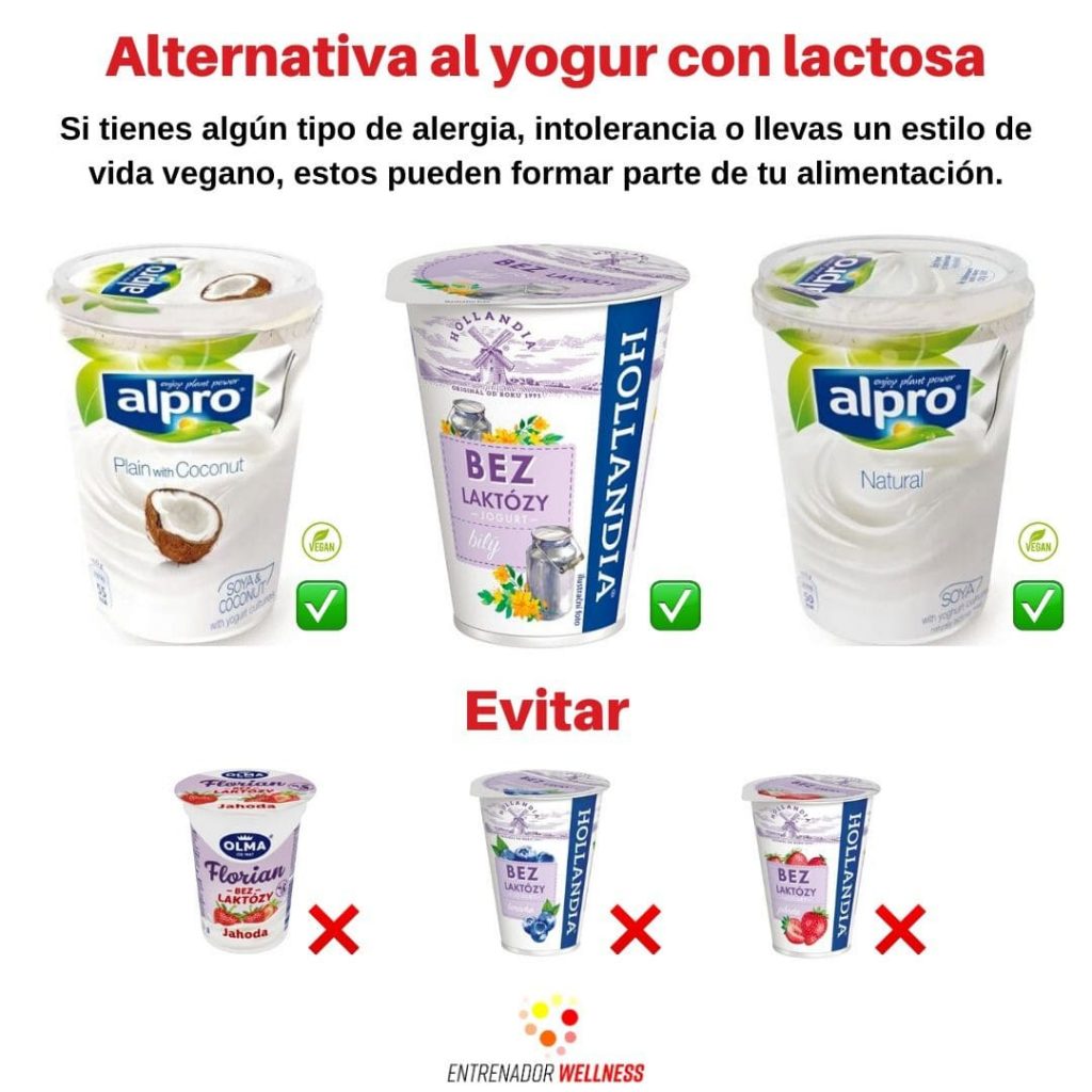 Yogur sin lactosa brno